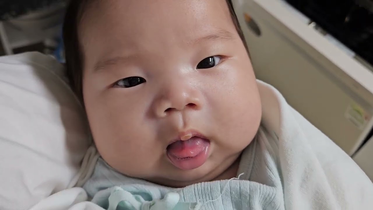 주먹고기를 먹으려하기도 하고 다소 낼름거리는 또또비 (+58 때).26.2.13.