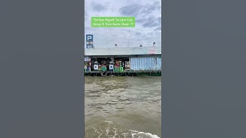 Hoàng Reaction : Xăng được lấy từ đâu?