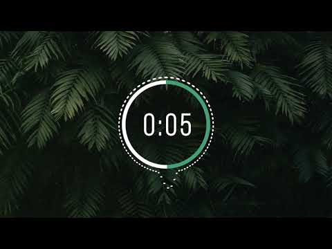 Simple countdown dynamic timer 10 seconds example. After Effects.