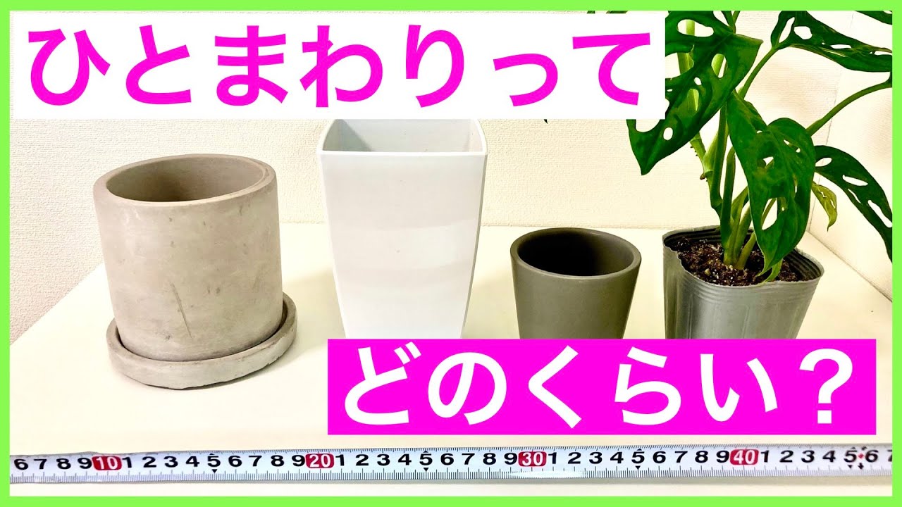 観葉植物 鉢のサイズについて解説します Youtube 観葉植物 鉢のサイズについて解説します Youtube