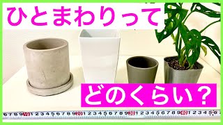 【観葉植物】鉢のサイズについて解説します