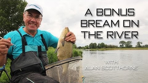 A Bonus Bream On The River