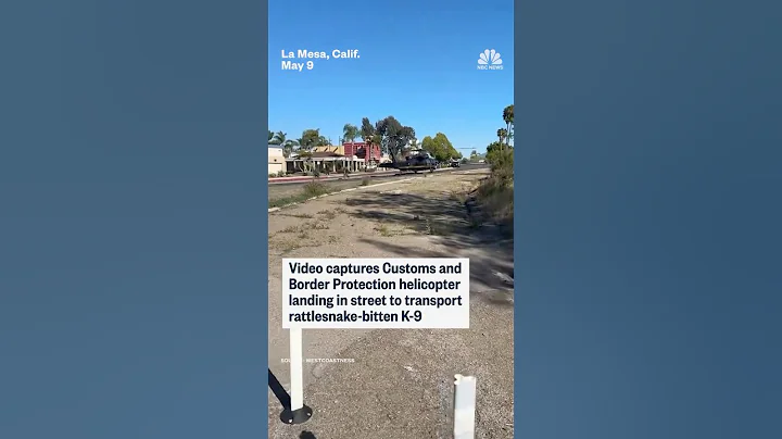 Customs and Border Protection helicopter lands in street to transport rattlesnake-bitten K-9