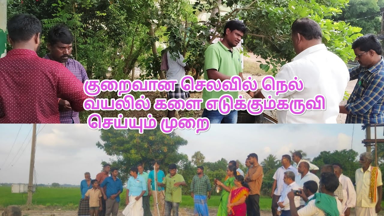 குறைவான செலவில் நெல் வயலில் களை எடுக்கும் கருவி செய்யும் முறை|paddy weeder demonstration for farmers