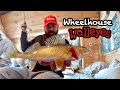 Wheelhouse Walleyes (LAKE OF THE WOODS)