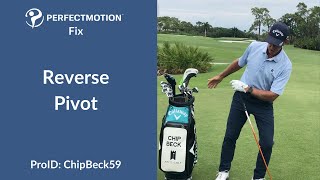 PerfectMotion - Reverse Pivot