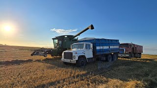 We need some frigging sunshine!!! Swamp harvest continues...