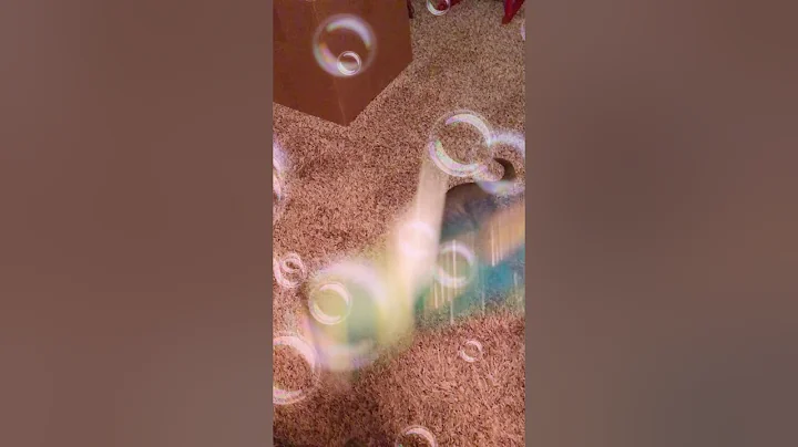 Will she get it? Luna the kitten