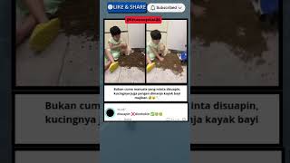 auto kenyang😭 #viral #funny #cats #kucing #kucinglucu #cats #lucuabis #lucu #trending #fyp #memes
