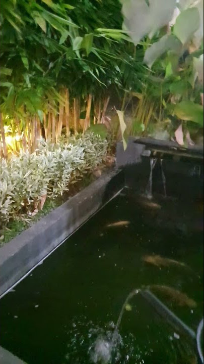 Planto Tepi Sungai Siak Cafe and Resto Pekanbaru #shorts