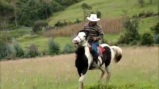 Video thumbnail of "Cuatro Caballos-Bronco"