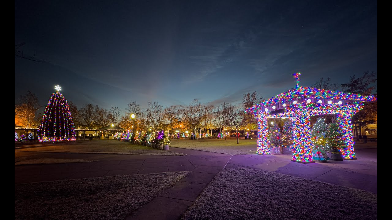 Charlie Brown Christmas Tree Grove, Windsor Town Green FPV Drone Flight