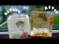 How To Reduce Bubbles In Resin | Quick & Easy