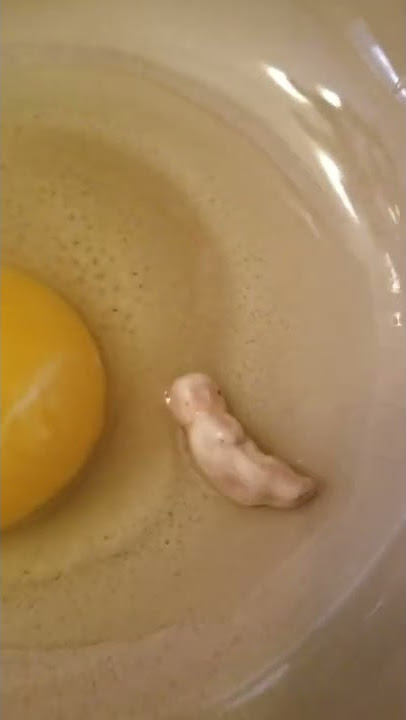 Humonculus hatching