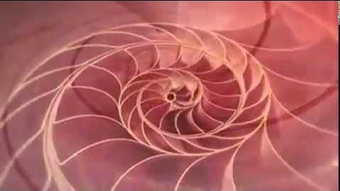 Natureza dos Números a  Sequencia de Fibonacci