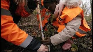 Tram T13 Prolongement - épisode 6 / Reboisement participatif avec les élèves de lécole Péguy