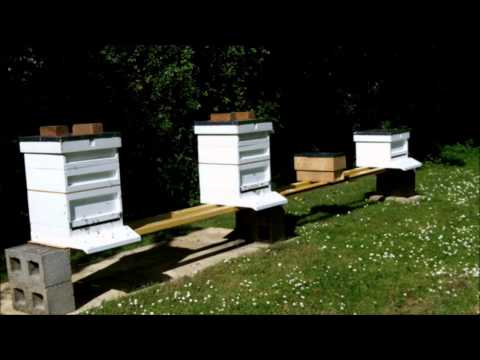 Artificial Swarm