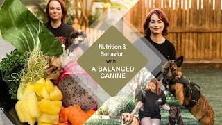 How Nutrition Affects your Dogs Behavior | What Should you Feed your Dog | Canine Nutrition by Autumn S. A Balanced Canine  286 views 1 year ago 6 minutes, 45 seconds