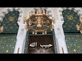 Maher zain harris j قلبي في المدينة وجد السكينة  mp3