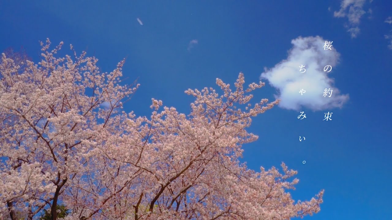 桜の約束 - ちゃみぃ。 - YouTube