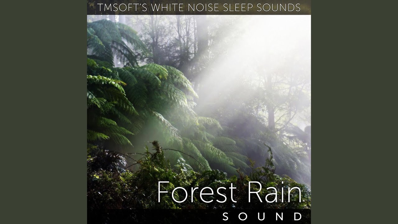 Forest Rain Sound YouTube
