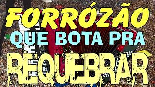 Download Lagu Forrózão que bota pra requebrar, piseiro PE, nerão, MA, xote, CE, arrasta pé, hits song RS BA SP RJ MP3