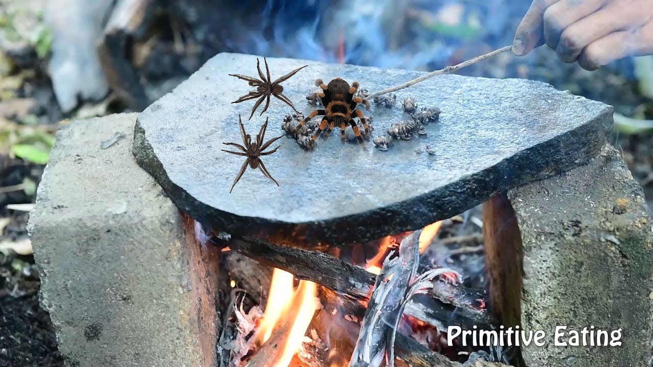 Primitive Technology -  roasted black spider on rock - cooking black spider eating delicious
