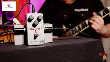 EHX Ram
