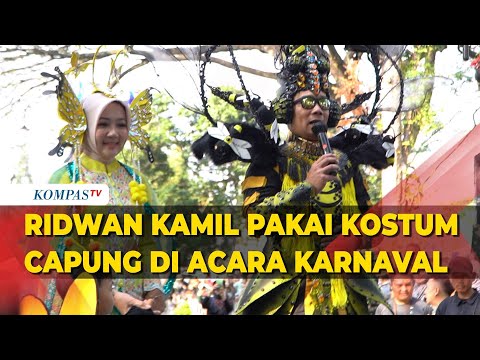 Potret Ridwan Kamil Pakai Kostum Capung di Acara West Java Festival