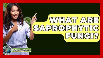 What Are Saprophytic Fungi? - Earth Science Answers