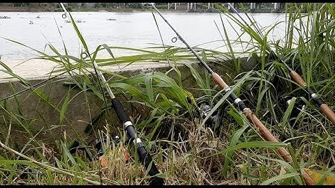 CÂU CÁ NGÁT CỐNG 8 CỬA - TRÀ VINH