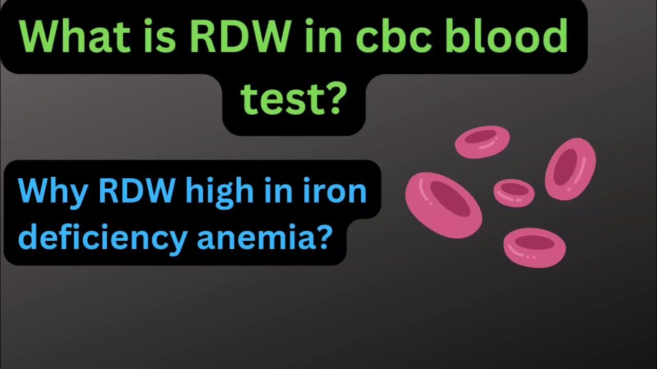 What is rdw in blood test cbc blood test why rdw increase in iron