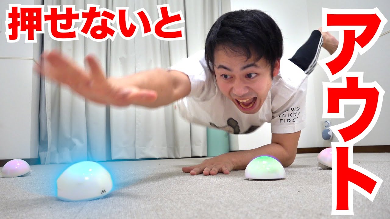 フィッシャーズ・YouTuber タオル Amazon.co.jp: フィッシャーズ アデュー タオル 2枚セット