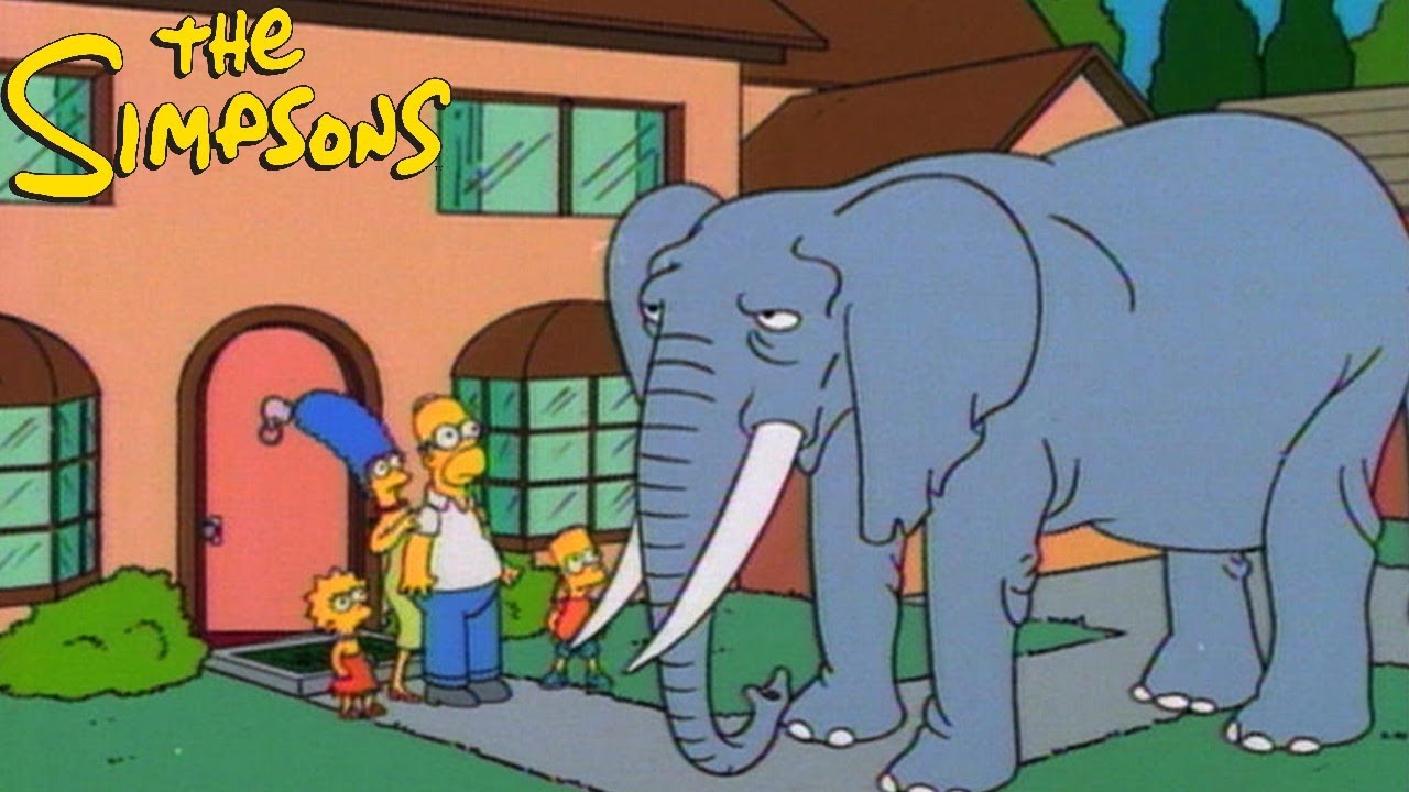 The Simpsons S05E17 Bart Gets an Elephant