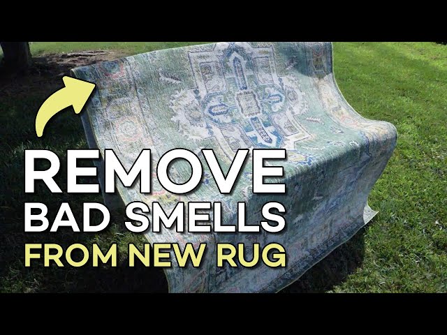 Best Ways To Remove Bad Smells From Your New Area Rug 