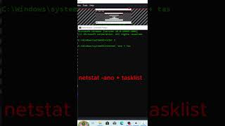 How to Find Hidden Spyware & Foreign Connections Using Command Prompt