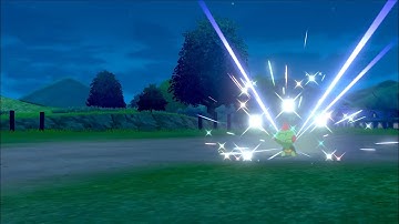 10/14/23 | wild shiny Chewtle