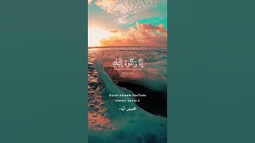 🥹🌹ولا تخافى ولا تحزنى إنا رادوه إليك..#تلاوة_هادئة #تلاوات_خاشعة #تلاوة_خاشعة #تلاوة #افضل #قرآن