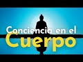 MINDFULNESS Conciencia en el CUERPO 🌟⎥15 Minutos que CALMAN el Cuerpo