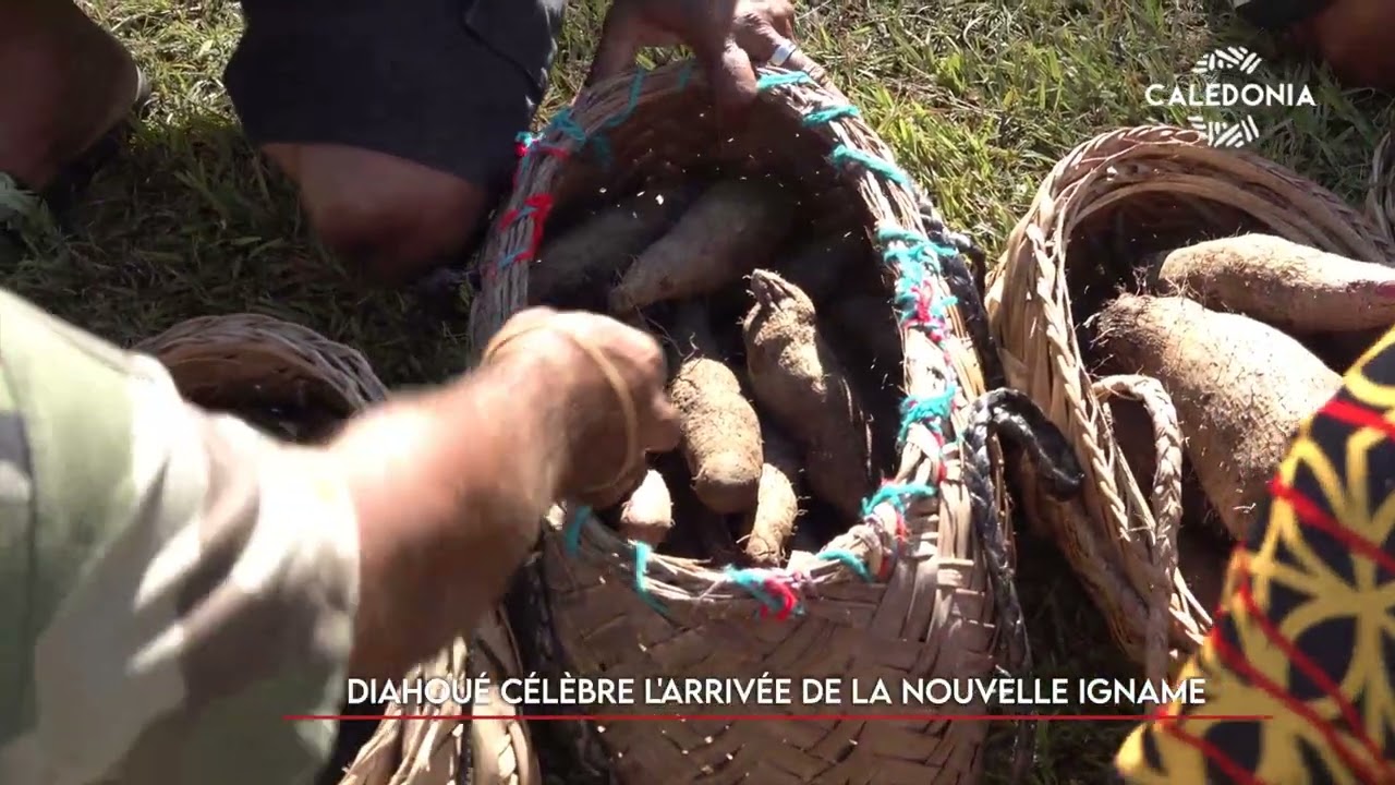 WAGÉÉRI - Diahoué célèbre l'arrivée de la nouvelle igname 2/2