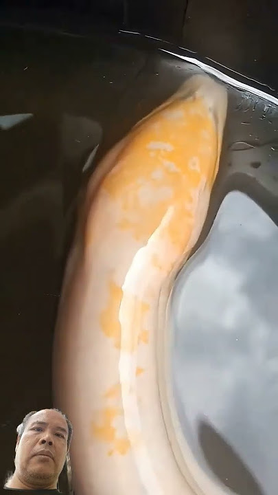 belut albino termahal didunia #shorts