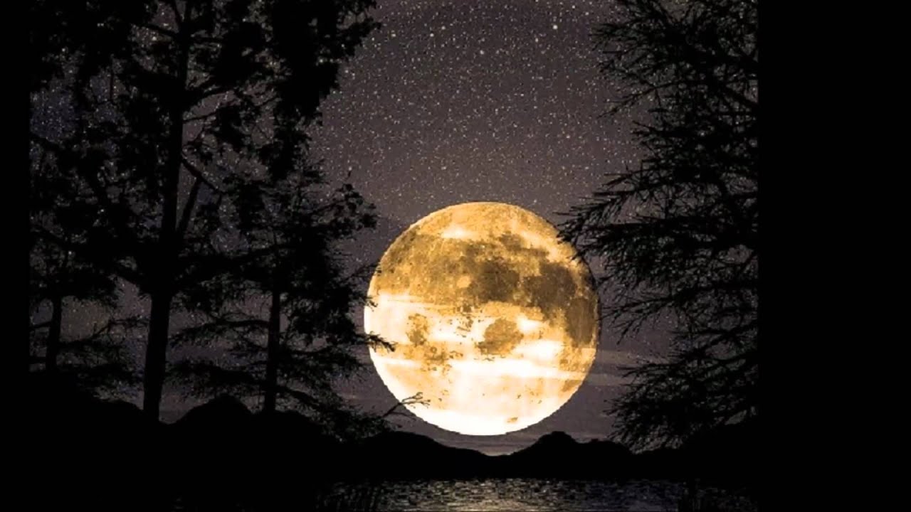 HARVEST MOON performed by Cassandra Wilson - YouTube