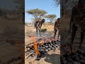 Hadzabe Hot Stone BBQ Ancient Grill Tradition
