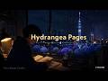 Hydrangea Pages 🌸 lo-fi hip hop beats to study / focus / relax