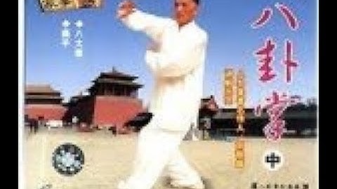 8 Large Palm Trees. Pushing Hands. Chen shi Bagua zhang