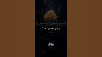 تلاوة تريح قلب من سورة النحل  اية 57الى 59 القارئ عبدالرحمن مسعد #قرآن #سورة_النحل #عبدالرحمن_مسعد