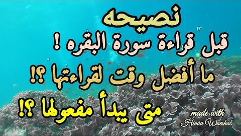 ما هو أفضل وقت لقراءة سورة البقرة ؟! ومتى يبدأ مفعولها ؟!