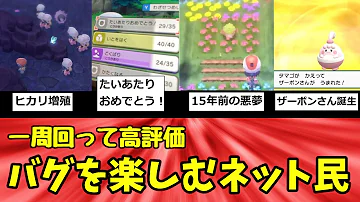 ダイパリメイクバグ