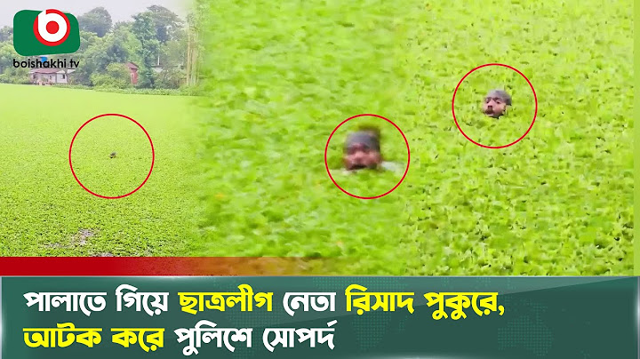পালাতে গিয়ে ছাত্রলীগ নেতা রিসাদ পুকুরে, আটক করে পুলিশে সোপর্দ | Viral Video | Boishakhi TV News