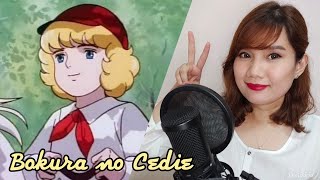 Little Prince Cedie 小公子セディ OP ' Bokura no Cedie ' (ぼくらのセディ) Cover by Ann